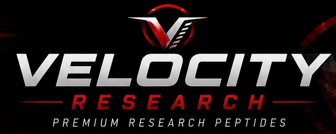 Velocity Research